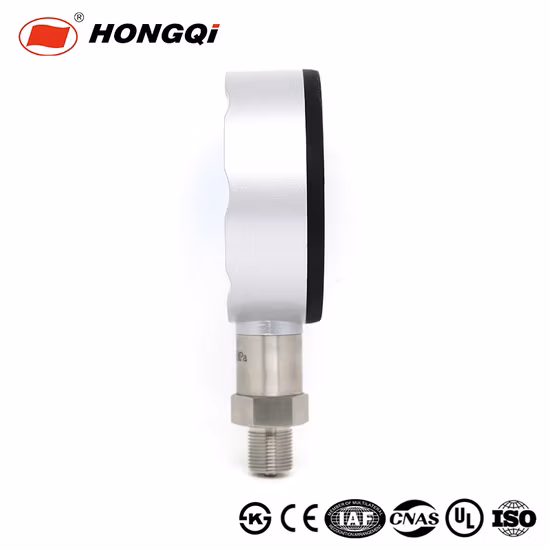 Hongqi OEM High Precision Intelligent Digital Pressure Gauge with ISO9001/CE/RoHS